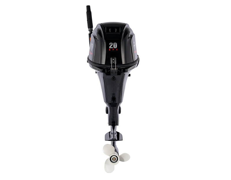 F20E  Outboard Motor