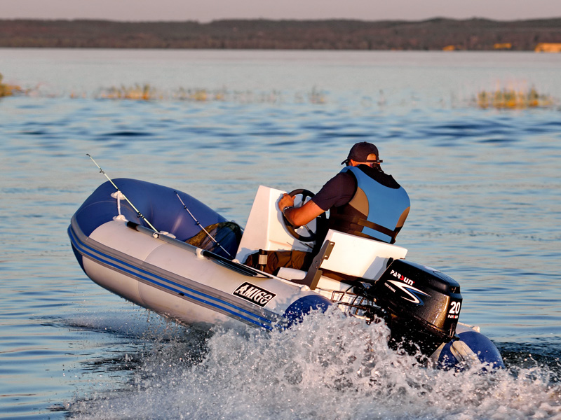 F15A  Outboard Motor